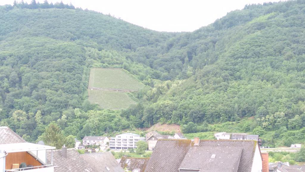 Gaestehaus Kiesgen-Mendgen Bernkastel-Kues Dış mekan fotoğraf